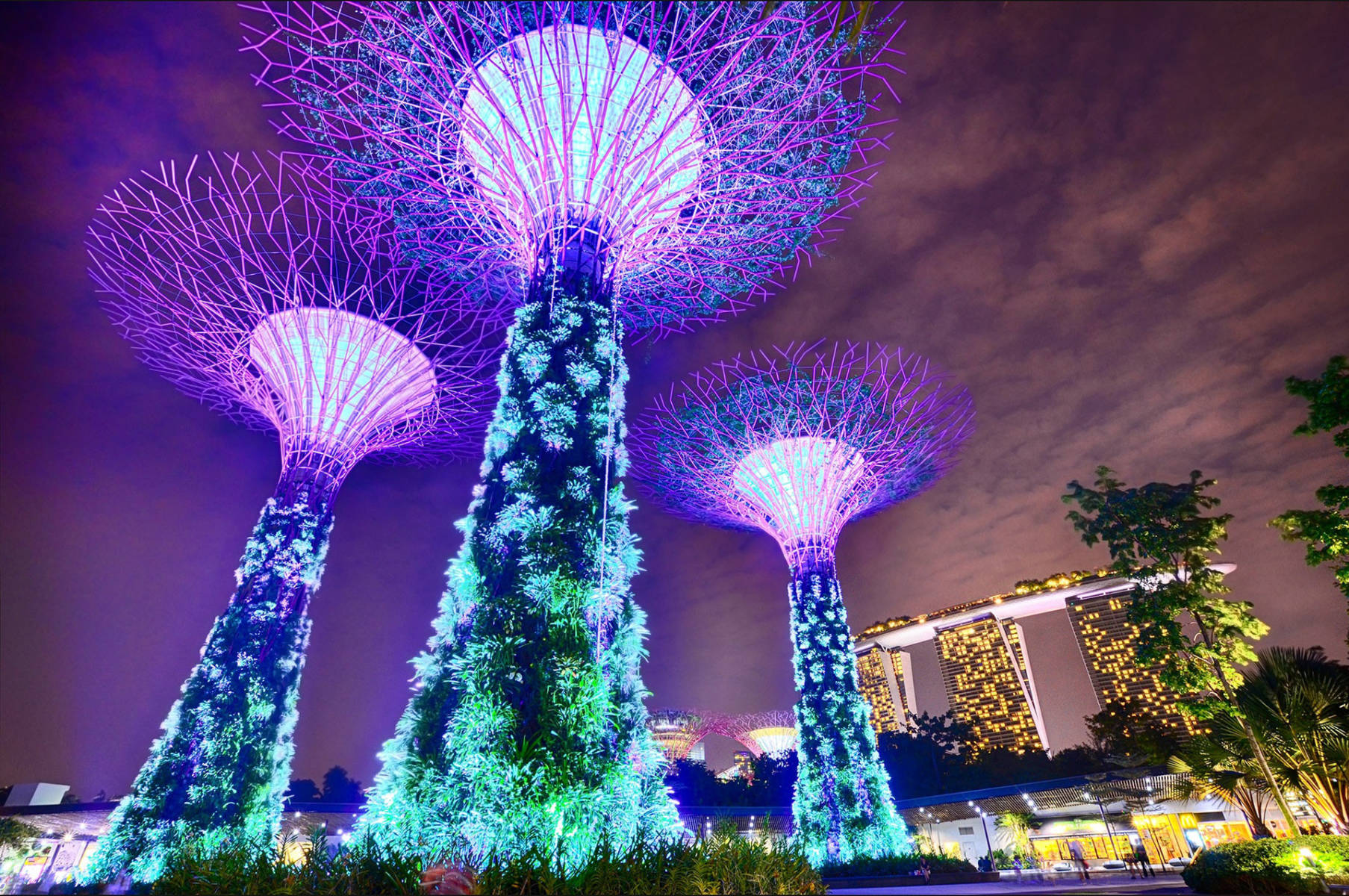 en:: Singapore's trees | it:: Alberi di Singapore
